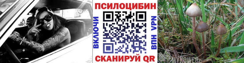 Галлюциногенные грибы Psilocybe  omg ONION  Егорьевск 